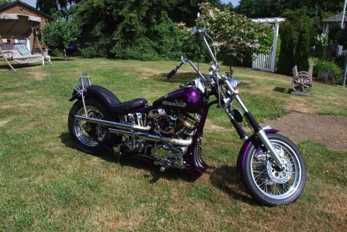 Gary's 1960 Panhead with our Electronic Ignition & Distributor